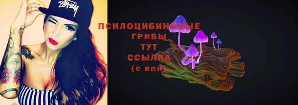 прущая мука Белокуриха