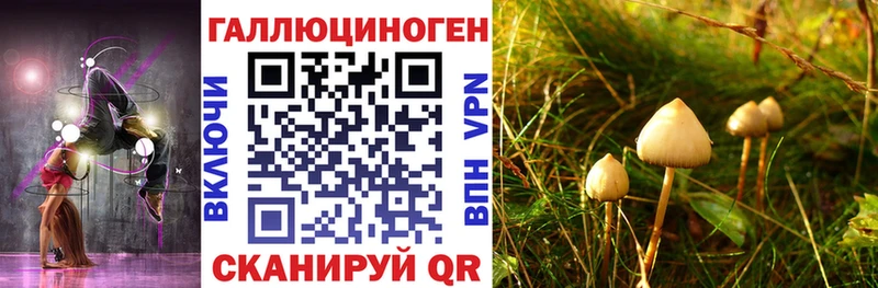 Псилоцибиновые грибы мицелий  наркота  дарк нет как зайти  Козельск 